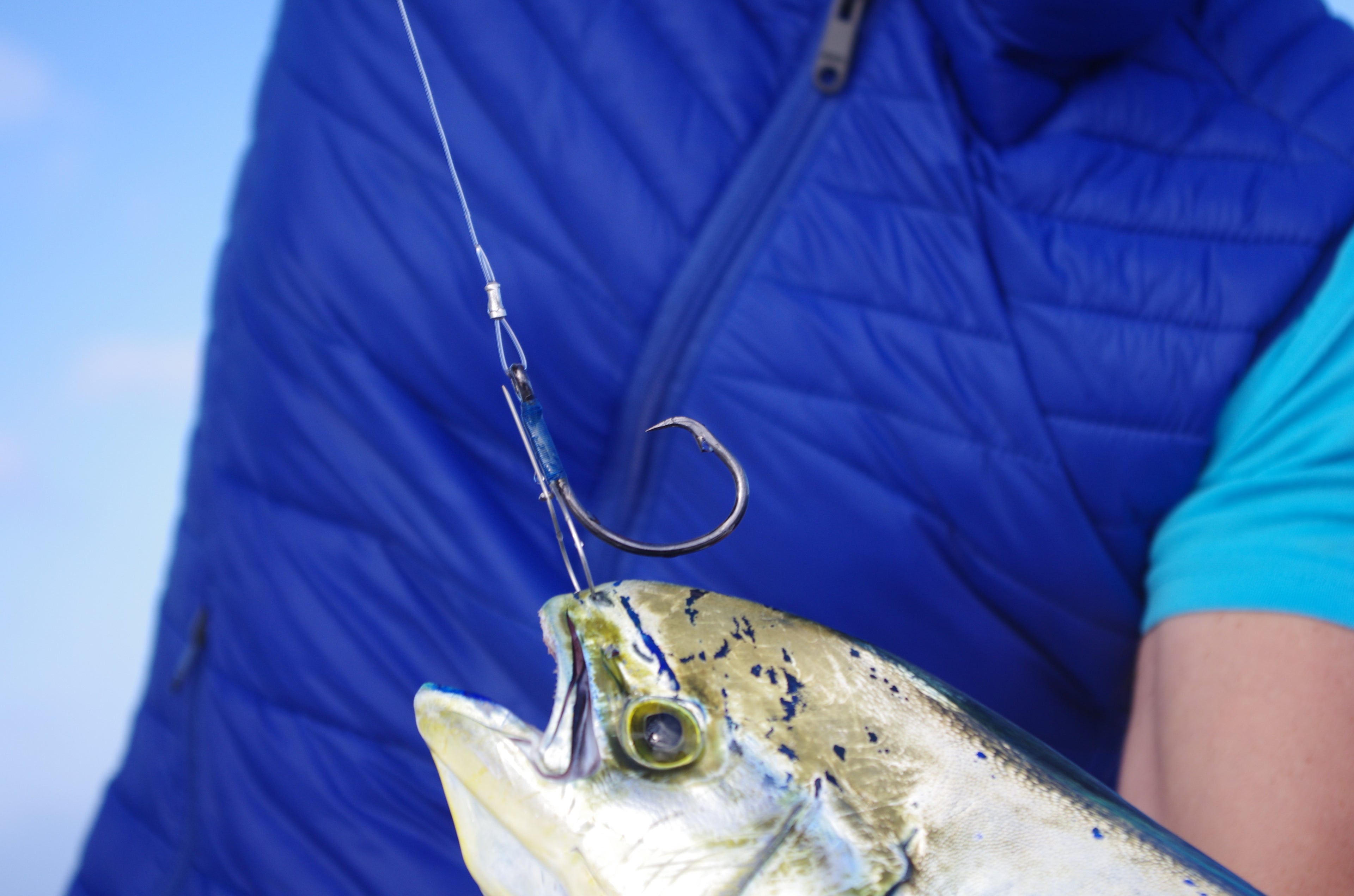 Superstar Circle Big Bait x2